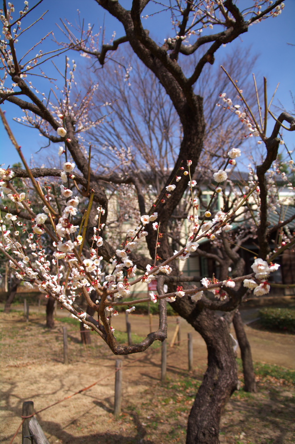 IMGP0021.jpg(424318 byte)