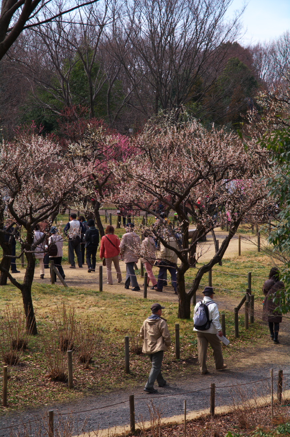 IMGP0026.jpg(589479 byte)