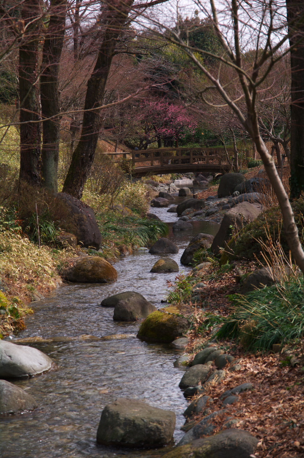 IMGP0029.jpg(482601 byte)