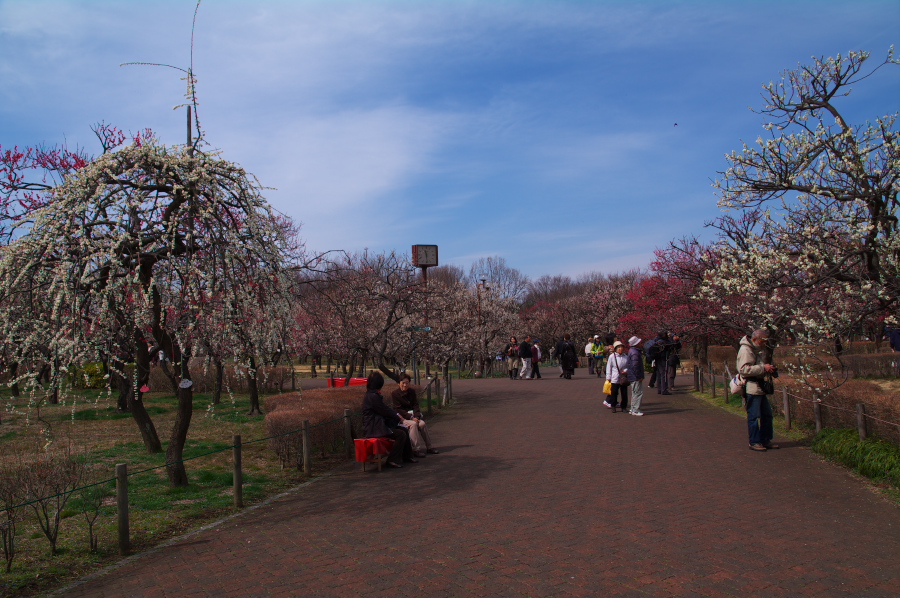 IMGP0056.jpg(380103 byte)