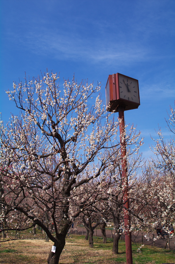 IMGP0068.jpg(493942 byte)