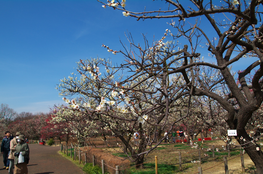 IMGP0082.jpg(500749 byte)