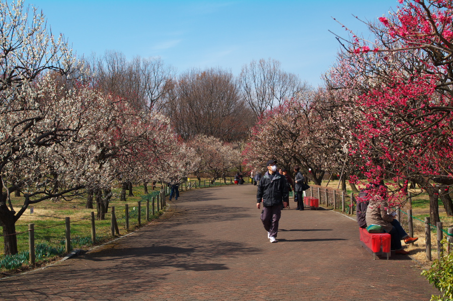 IMGP0087.jpg(528447 byte)