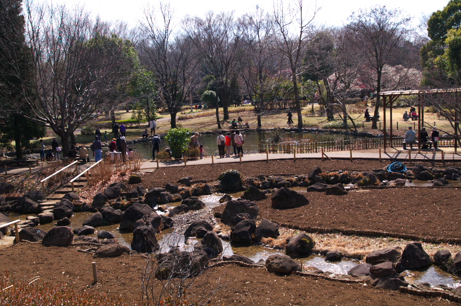 IMGP0097.jpg(576458 byte)