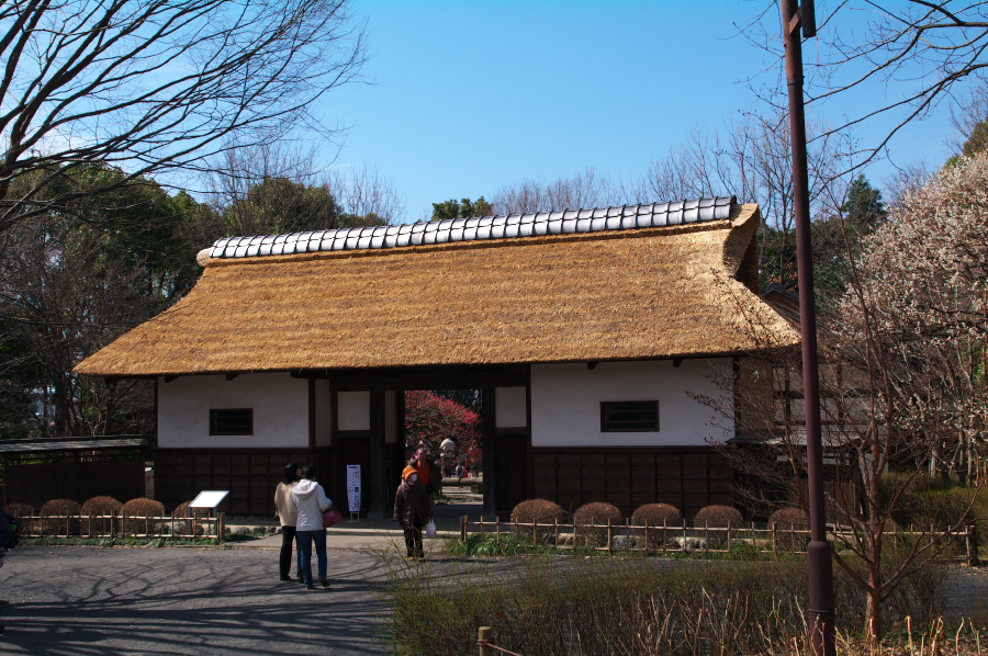 IMGP0099.jpg(473099 byte)