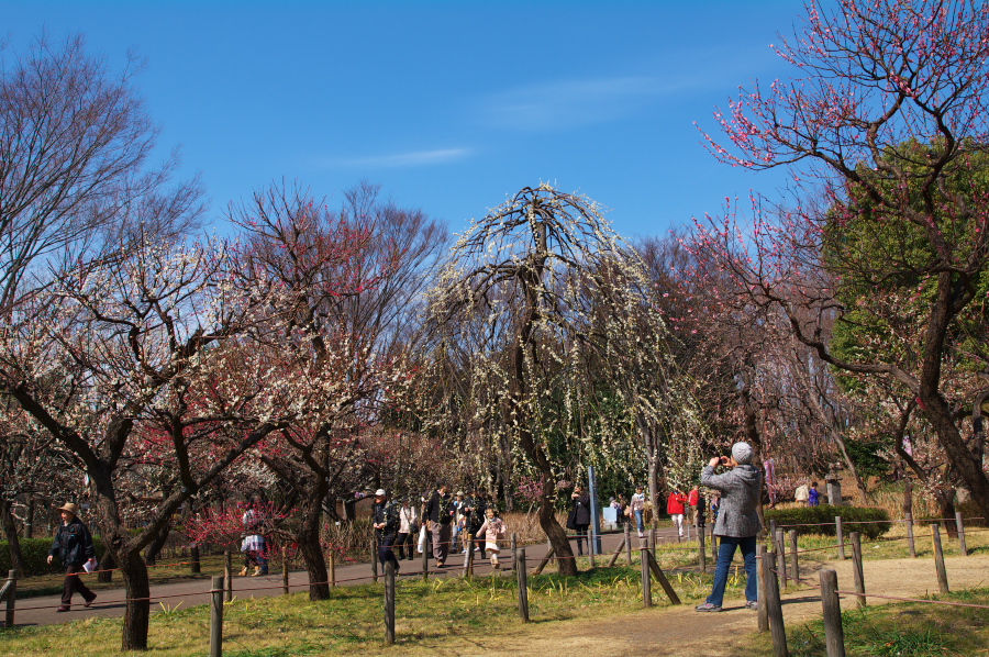 IMGP0101.jpg(557988 byte)