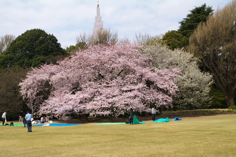 IMGP0002.jpg(445768 byte)