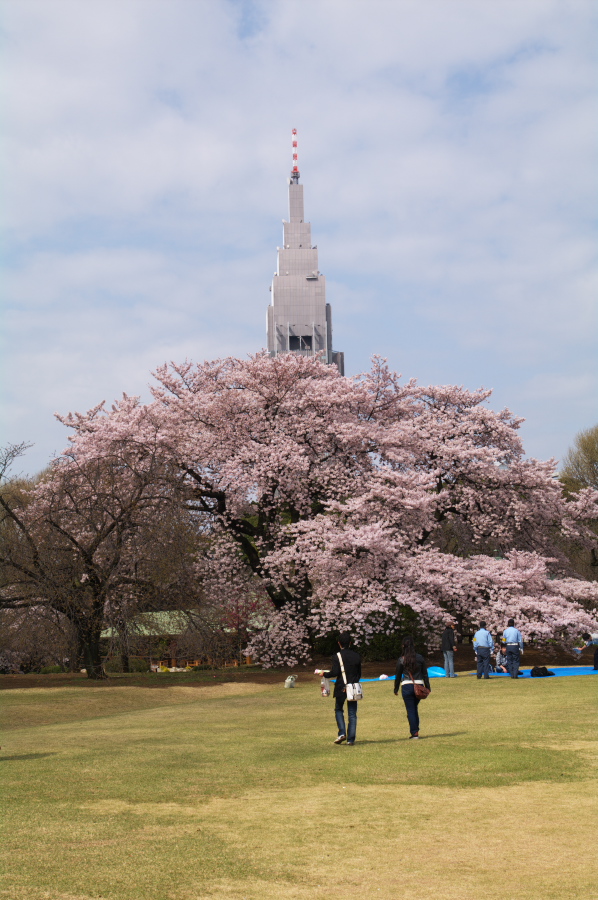 IMGP0009.jpg(327353 byte)