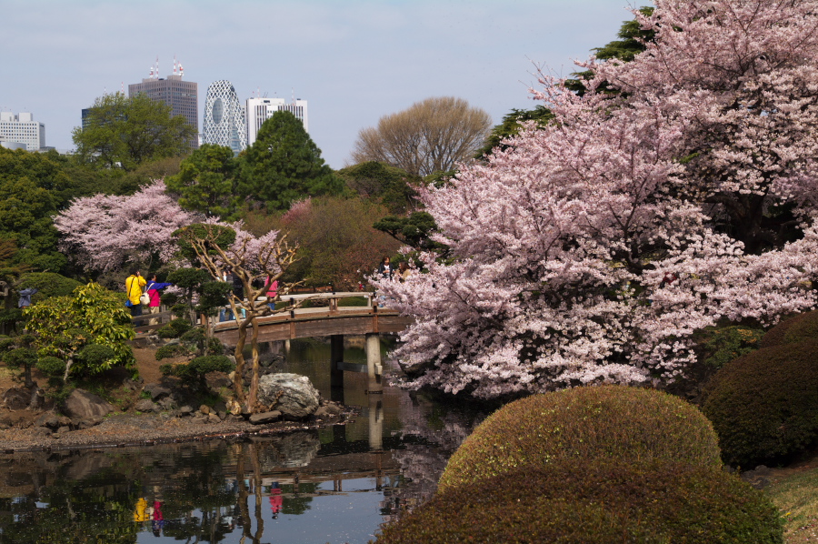 IMGP0020.jpg(477269 byte)