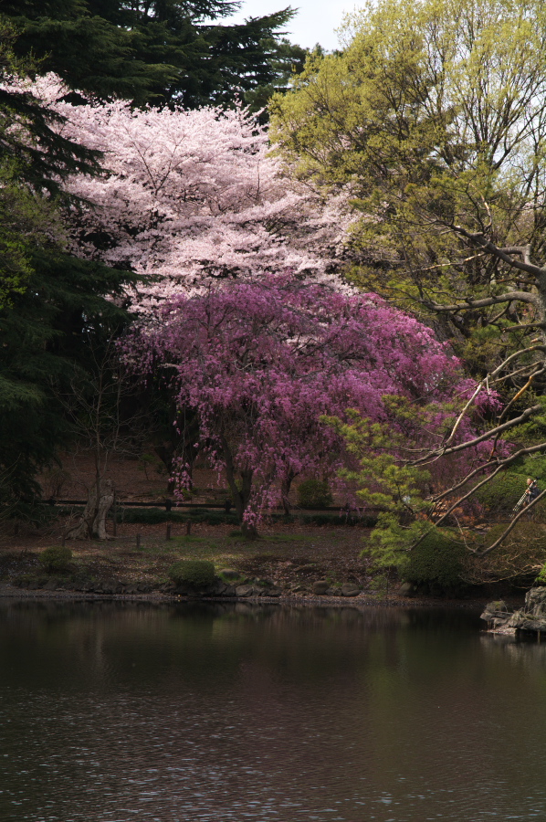 IMGP0026.jpg(454883 byte)