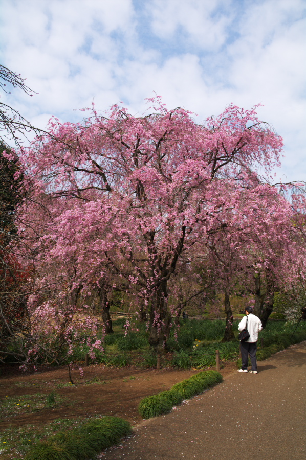 IMGP0028.jpg(456420 byte)