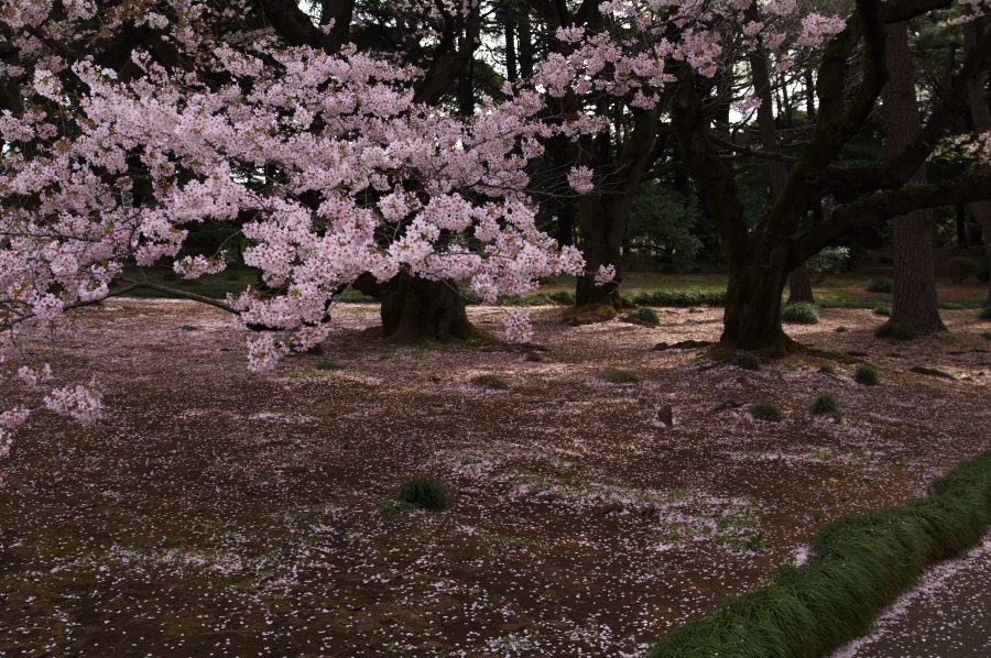 IMGP0030.jpg(521339 byte)