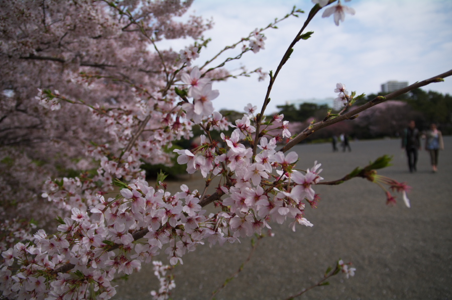 IMGP0042.jpg(283766 byte)