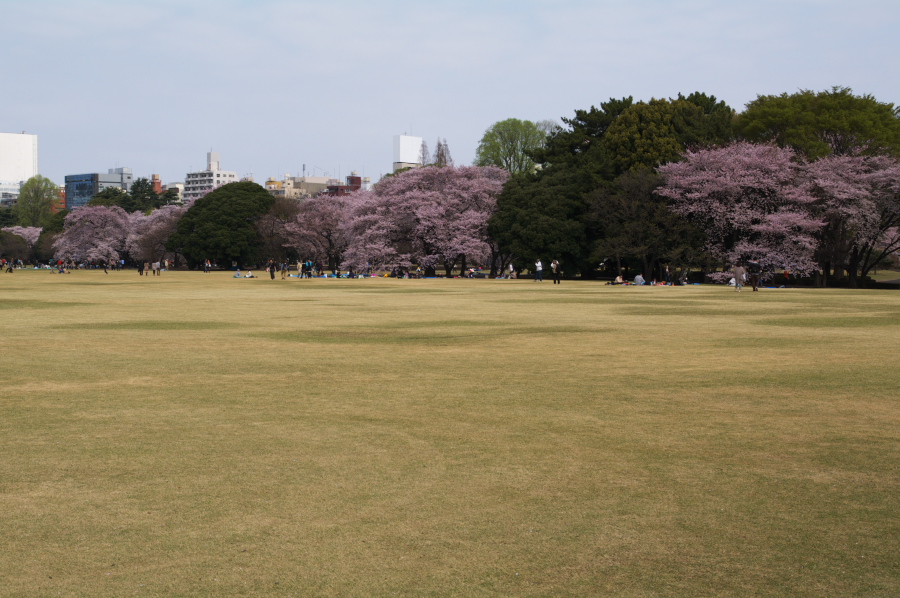 IMGP0046.jpg(312223 byte)