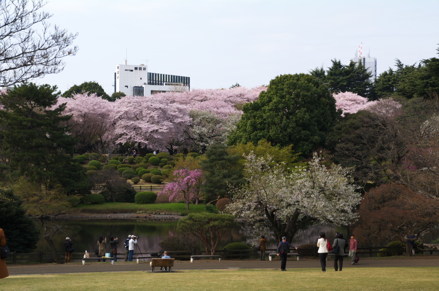 IMGP0050.jpg(356379 byte)