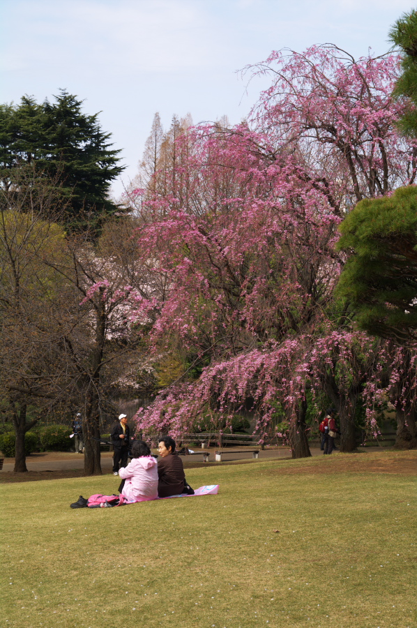 IMGP0056.jpg(472035 byte)