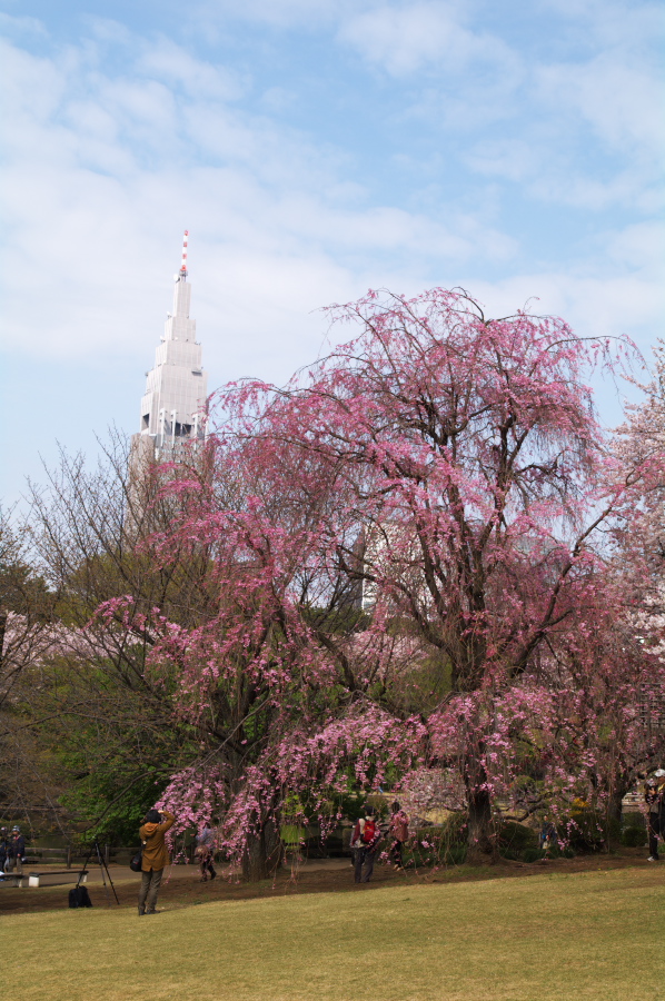 IMGP0058.jpg(404129 byte)