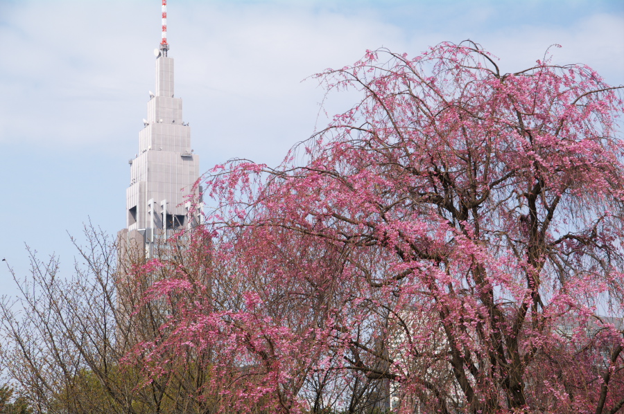 IMGP0061.jpg(487249 byte)