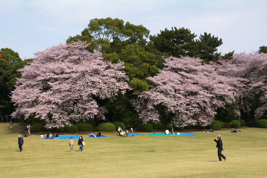 IMGP0064.jpg(417838 byte)