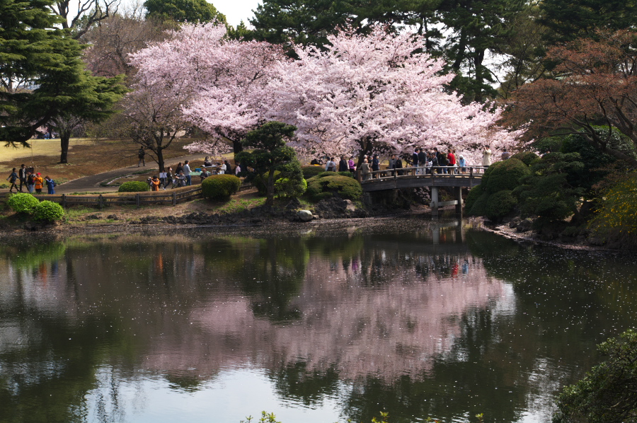 IMGP0069.jpg(446606 byte)