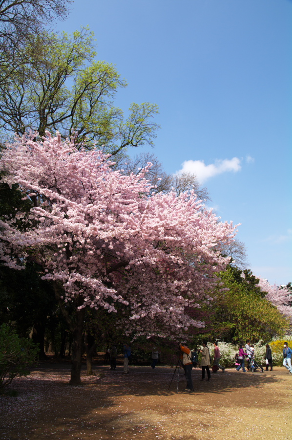 IMGP0075.jpg(427095 byte)