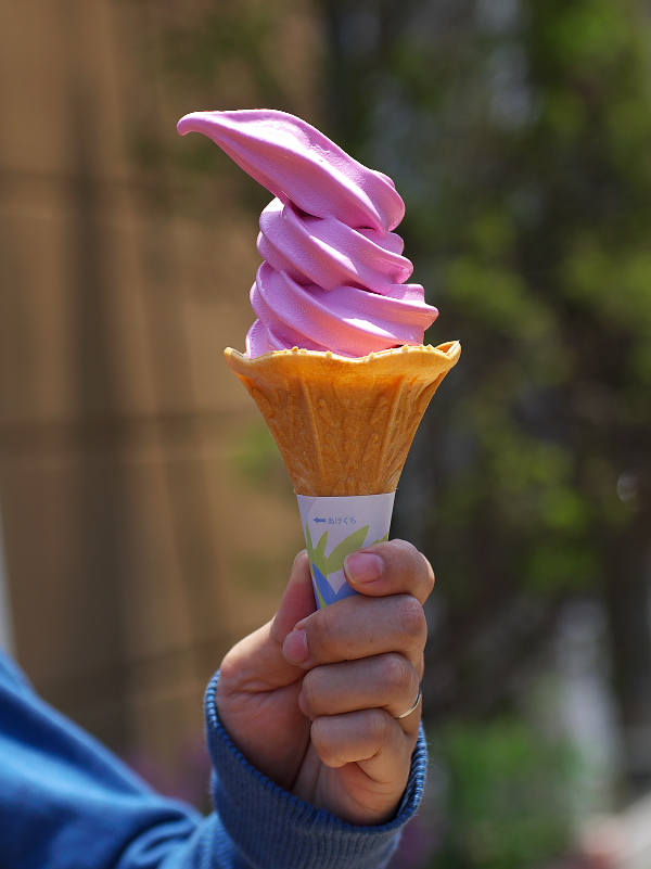 IMGP0112.jpg(178391 byte)