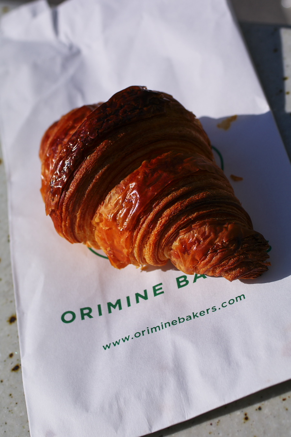 IMGP0030.jpg(236069 byte)