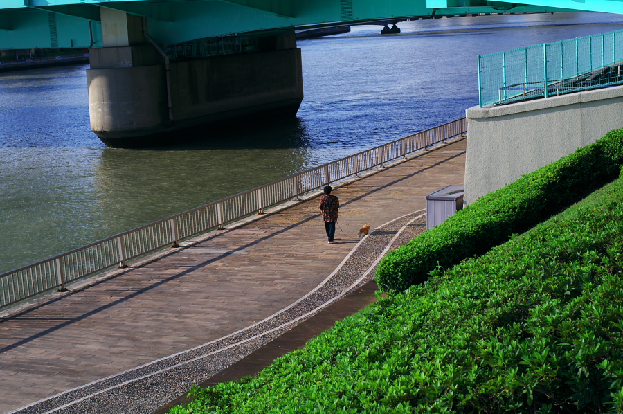 IMGP0001.jpg(466782 byte)