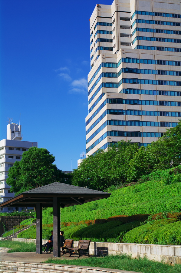 IMGP0005.jpg(433266 byte)