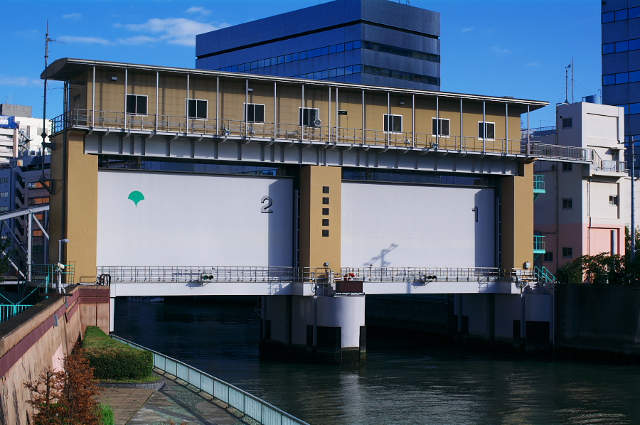 IMGP0007.jpg(327038 byte)