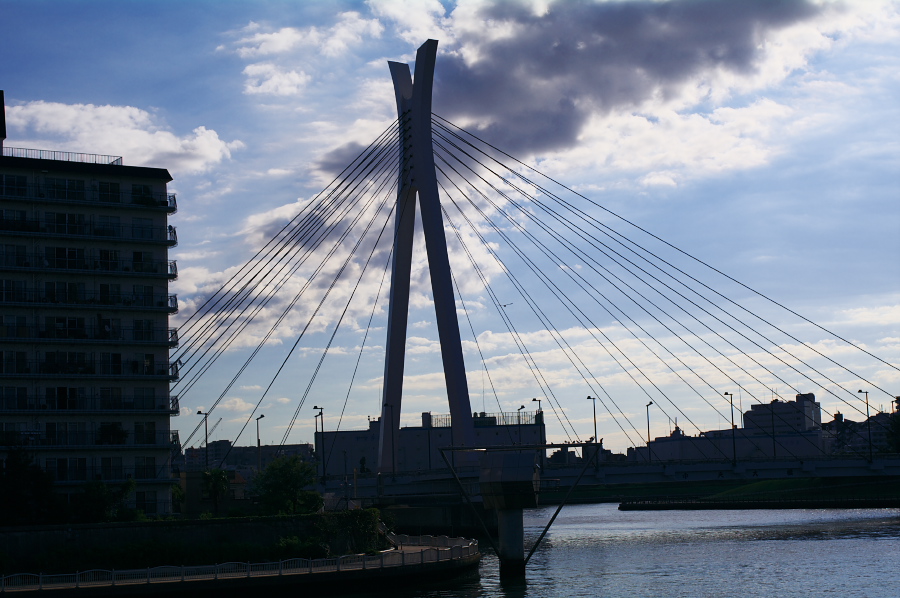 IMGP0009.jpg(293141 byte)