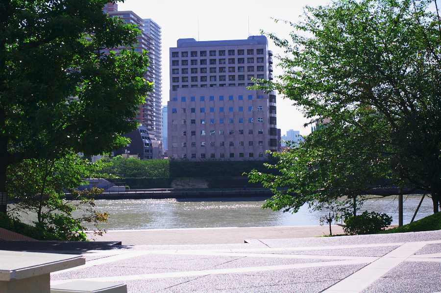 IMGP0047.jpg(527199 byte)