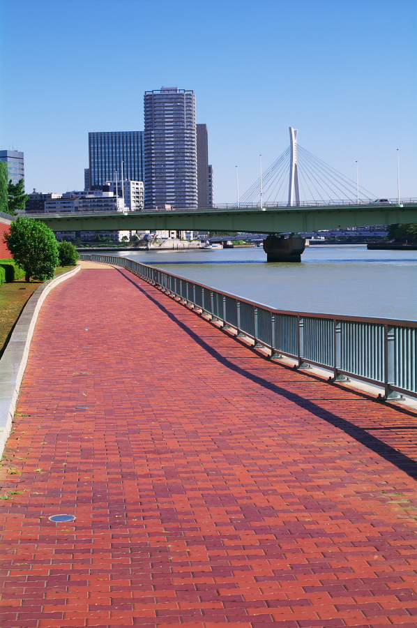 IMGP0055.jpg(360467 byte)