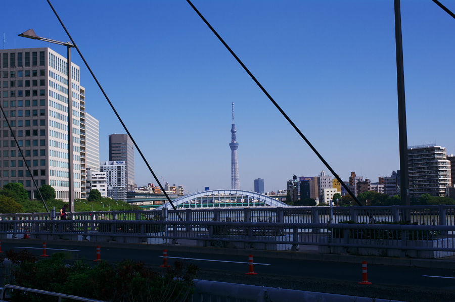 IMGP0074.jpg(279395 byte)