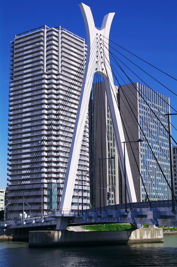 IMGP0076.jpg(426009 byte)