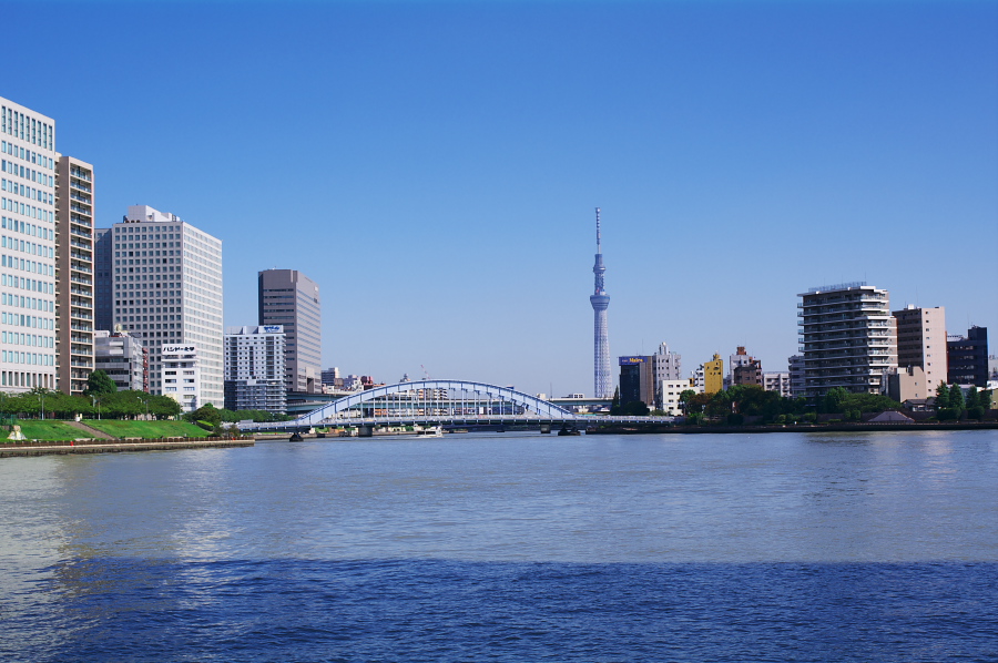 IMGP0080.jpg(299895 byte)