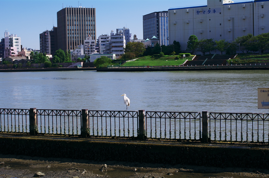 IMGP0082.jpg(391063 byte)