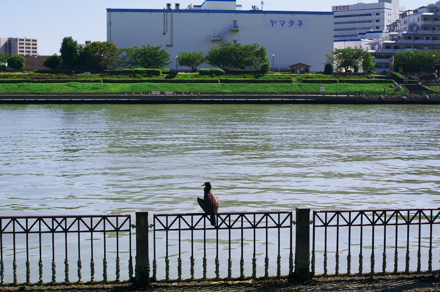 IMGP0086.jpg(434705 byte)