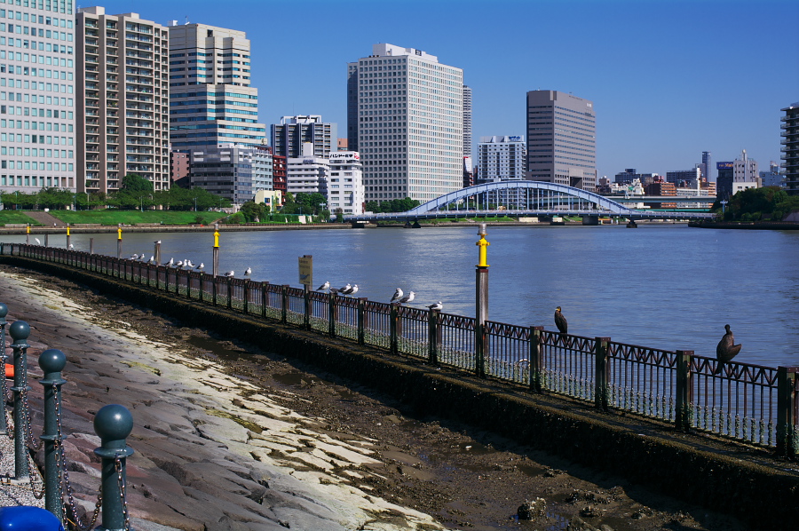 IMGP0090.jpg(434633 byte)