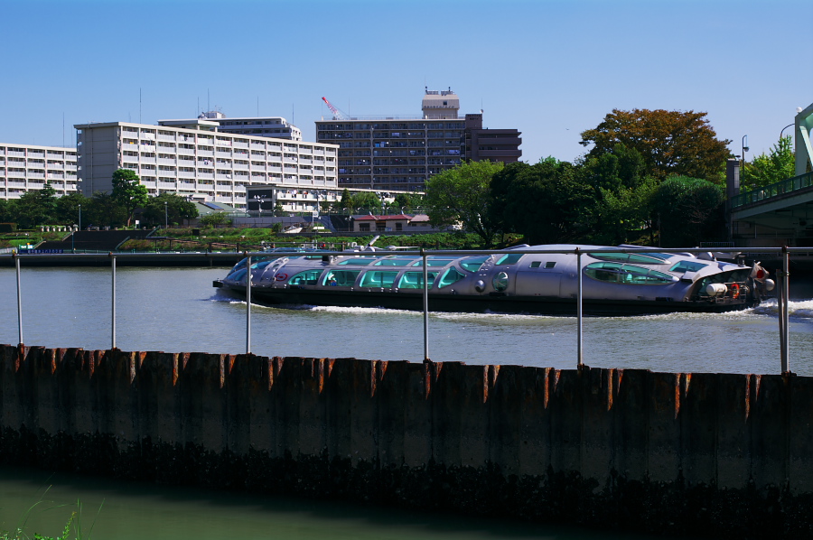 IMGP0094.jpg(299941 byte)