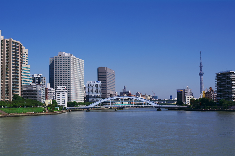 IMGP0098.jpg(264454 byte)