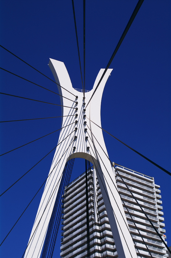 IMGP0100.jpg(270676 byte)