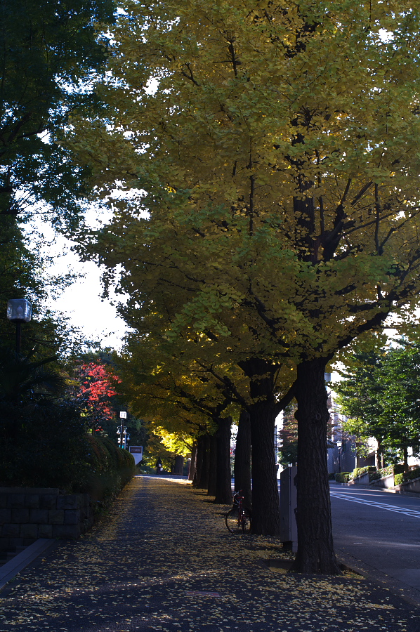 IMGP0021.jpg(553723 byte)