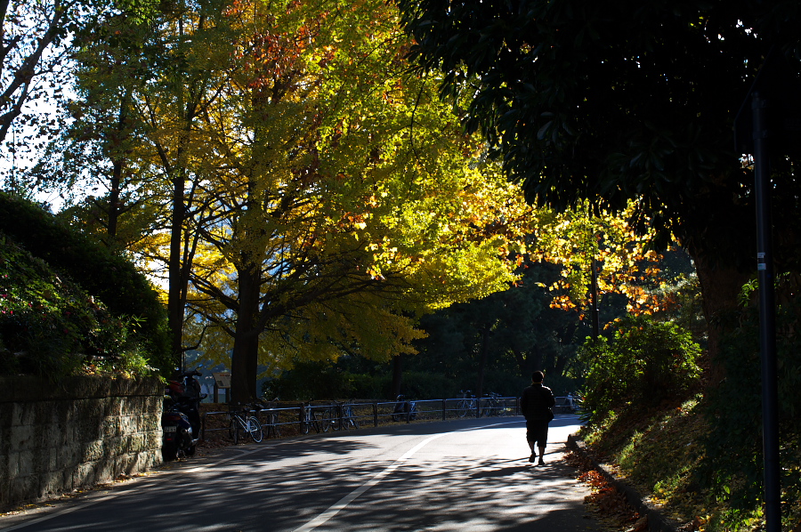 IMGP0022.jpg(548168 byte)