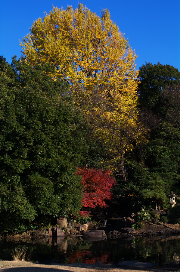 IMGP0029.jpg(539209 byte)