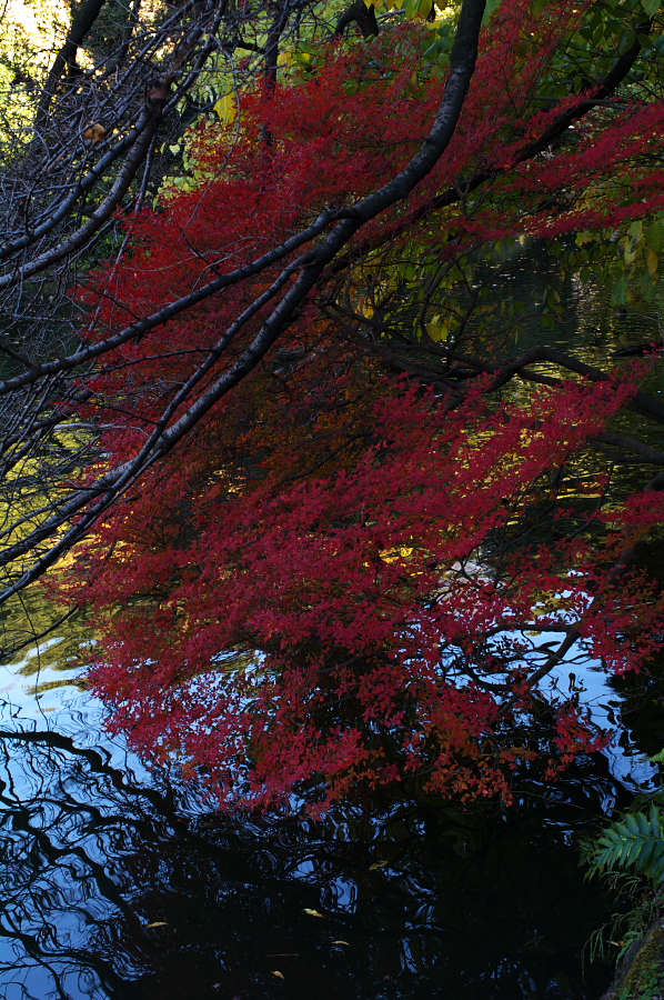 IMGP0033.jpg(588034 byte)