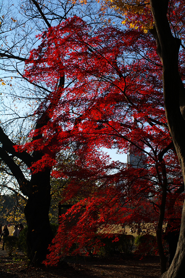 IMGP0035.jpg(666731 byte)