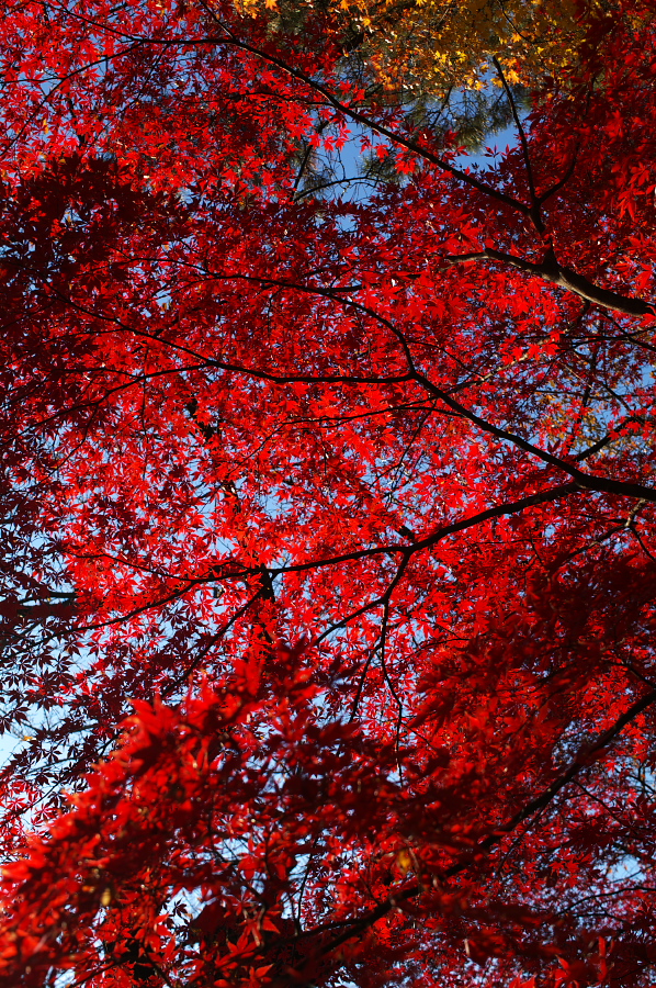 IMGP0041.jpg(768534 byte)