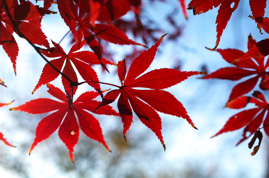 IMGP0048.jpg(304500 byte)