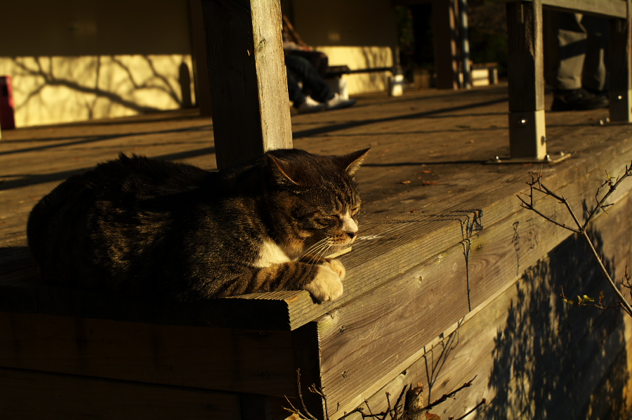 IMGP0062.jpg(292708 byte)